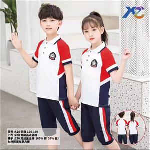 小學(xué)系列夏