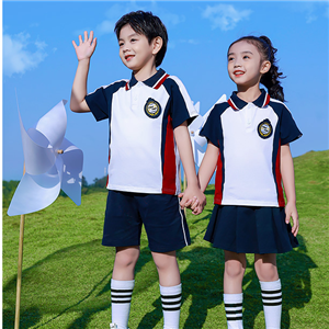 小學(xué)系列夏