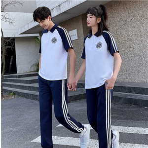 中學(xué)系列夏